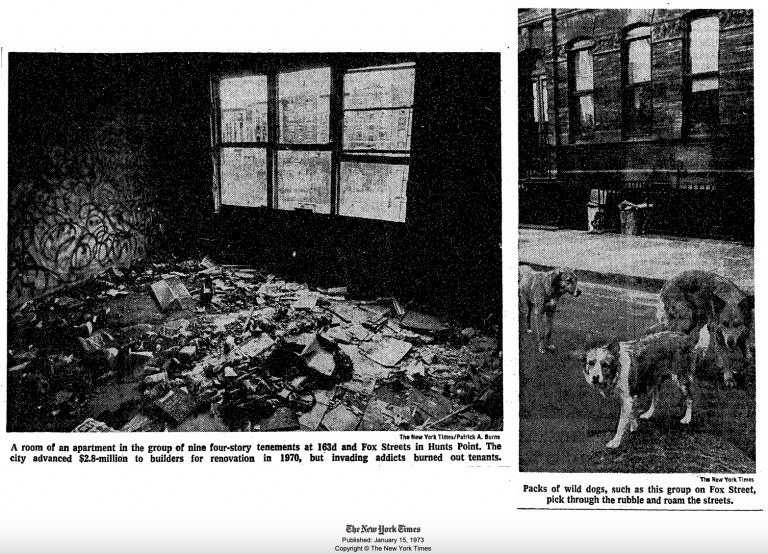 newspaper photos showing the inside of a bronx home and dogs roaming the streets