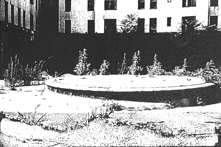 Photo of Roosevelt Gardens’ Courtyard in 1978 after complete abandonment 